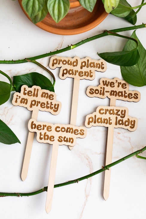 Retro Wooden Plant Markers