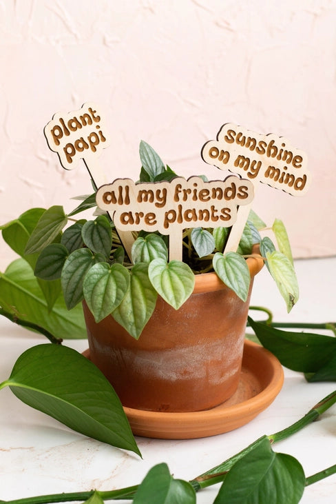 Retro Wooden Plant Markers