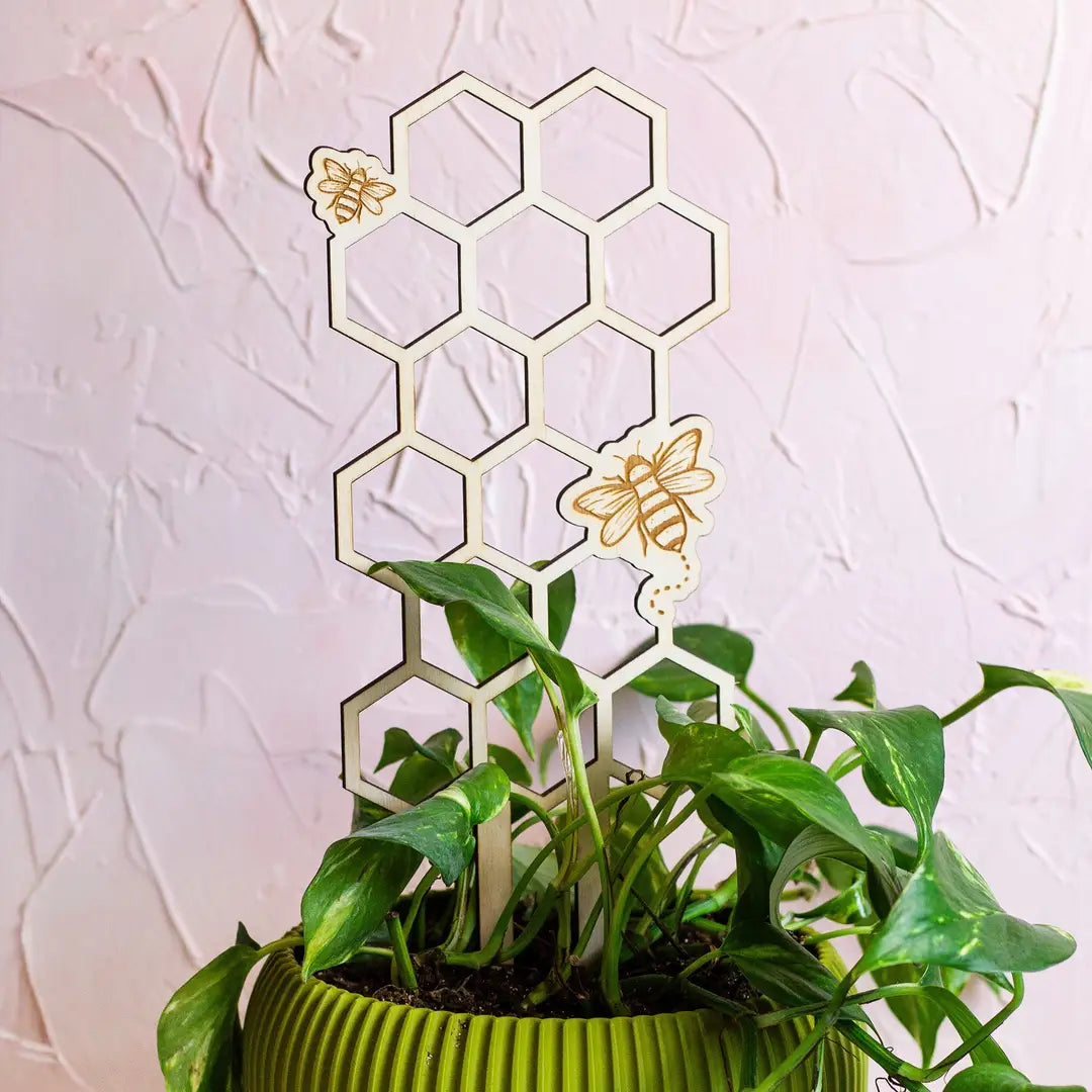 Wooden Plant Trellises
